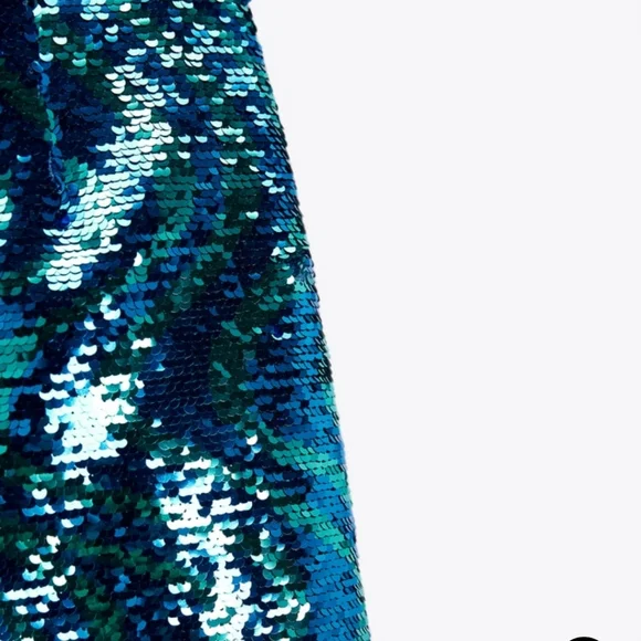 NWTs zara sequin skirt and top set